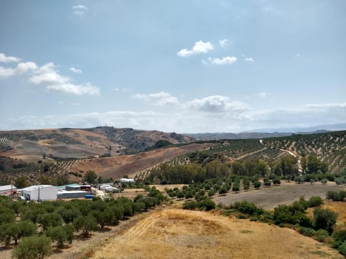 Apartamento Completo En Sierra Sur Villanueva de San Juan Экстерьер фото